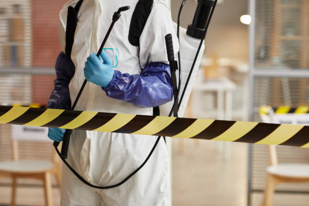 Professional Infectious Disease Decontamination technician working in Arnold, CA